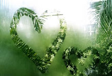 斯洛文尼亚男篮：蓝皮书下的王者之路，连胜不止的篮球传奇