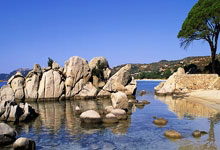 尼斯新签约后卫，重塑铁壁防线，剑指荣耀！