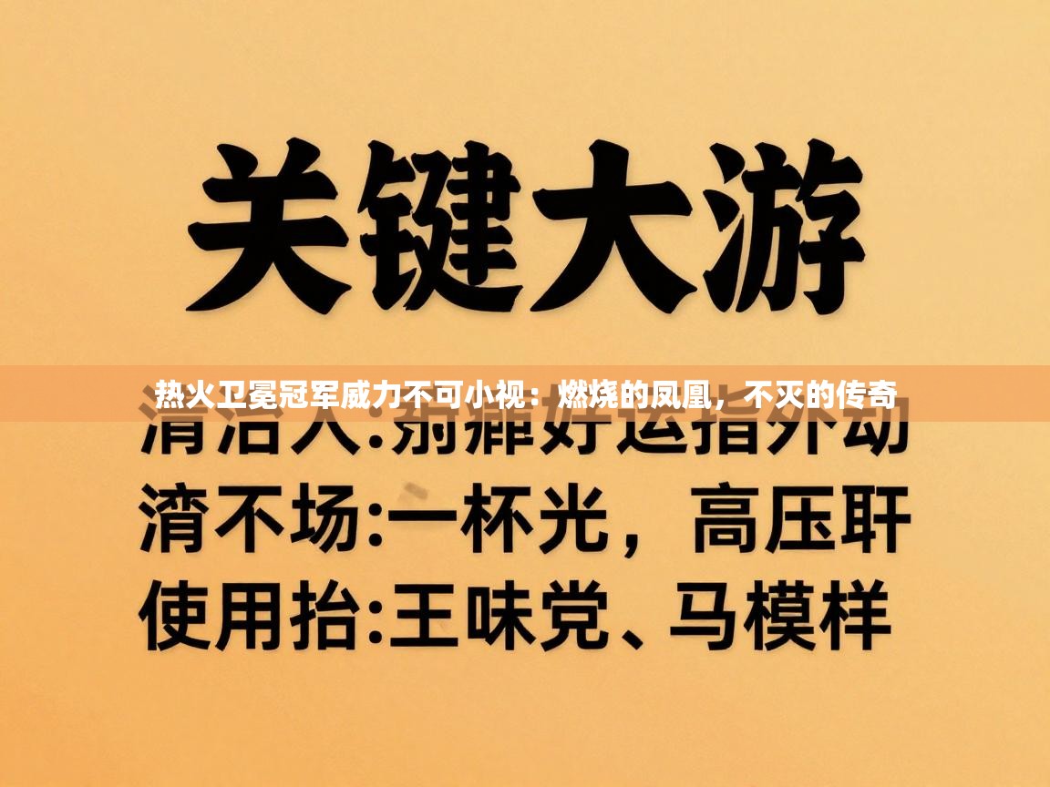 热火卫冕冠军威力不可小视：燃烧的凤凰，不灭的传奇  第1张